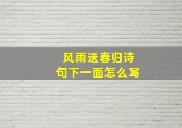 风雨送春归诗句下一面怎么写