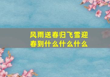 风雨送春归飞雪迎春到什么什么什么