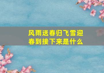 风雨送春归飞雪迎春到接下来是什么