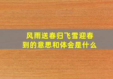 风雨送春归飞雪迎春到的意思和体会是什么