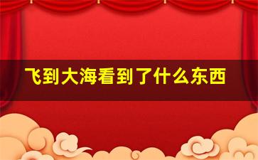 飞到大海看到了什么东西