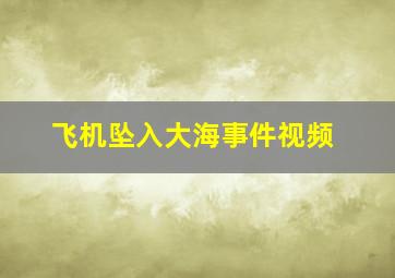 飞机坠入大海事件视频