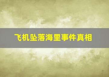 飞机坠落海里事件真相