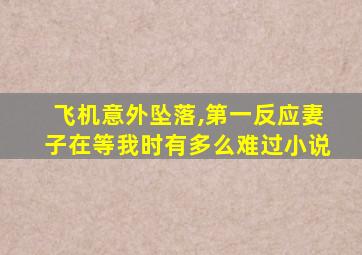 飞机意外坠落,第一反应妻子在等我时有多么难过小说