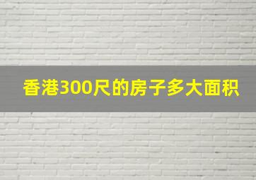 香港300尺的房子多大面积