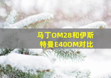 马丁OM28和伊斯特曼E40OM对比