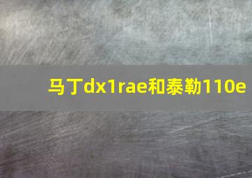 马丁dx1rae和泰勒110e