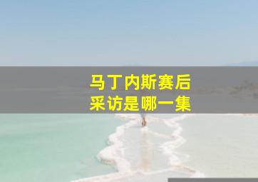 马丁内斯赛后采访是哪一集