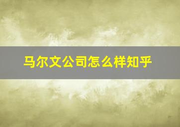 马尔文公司怎么样知乎