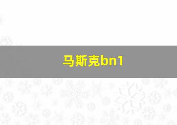 马斯克bn1