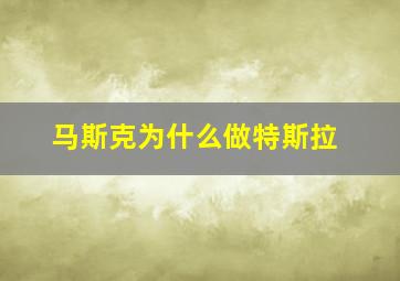 马斯克为什么做特斯拉