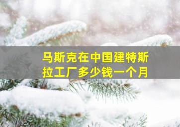 马斯克在中国建特斯拉工厂多少钱一个月