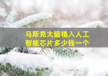 马斯克大脑植入人工智能芯片多少钱一个