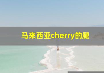 马来西亚cherry的腿