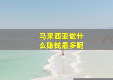 马来西亚做什么赚钱最多呢