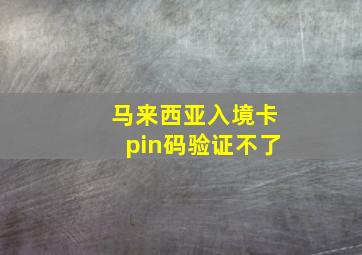 马来西亚入境卡pin码验证不了