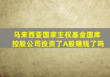 马来西亚国家主权基金国库控股公司投资了A股赚钱了吗