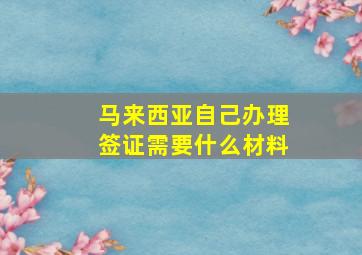 马来西亚自己办理签证需要什么材料