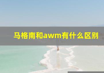 马格南和awm有什么区别