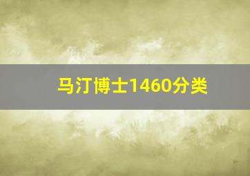 马汀博士1460分类