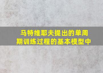 马特维耶夫提出的单周期训练过程的基本模型中