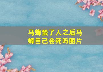 马蜂蛰了人之后马蜂自己会死吗图片