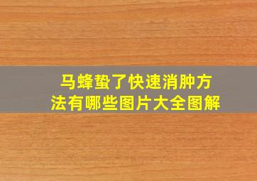 马蜂蛰了快速消肿方法有哪些图片大全图解