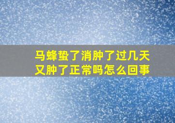 马蜂蛰了消肿了过几天又肿了正常吗怎么回事