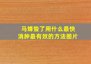 马蜂蛰了用什么最快消肿最有效的方法图片