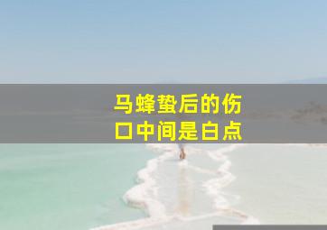 马蜂蛰后的伤口中间是白点