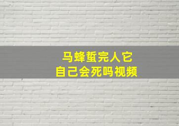 马蜂蜇完人它自己会死吗视频