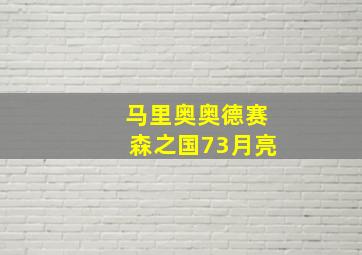 马里奥奥德赛森之国73月亮