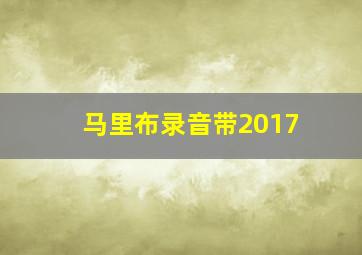 马里布录音带2017