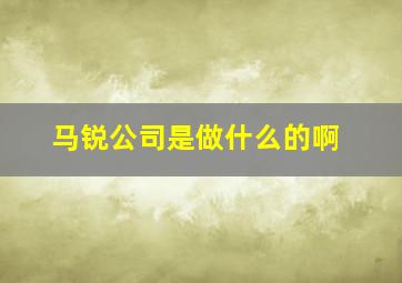 马锐公司是做什么的啊