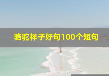 骆驼祥子好句100个短句