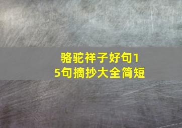 骆驼祥子好句15句摘抄大全简短