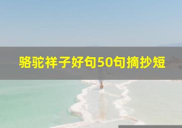 骆驼祥子好句50句摘抄短