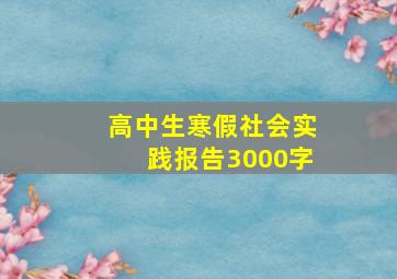 高中生寒假社会实践报告3000字