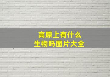 高原上有什么生物吗图片大全