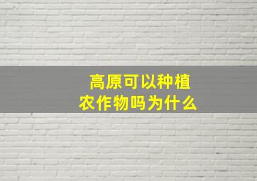 高原可以种植农作物吗为什么