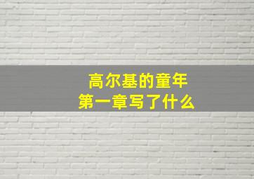 高尔基的童年第一章写了什么