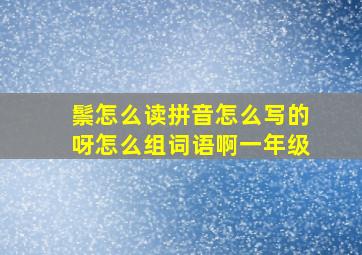 鬃怎么读拼音怎么写的呀怎么组词语啊一年级