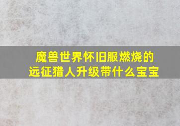 魔兽世界怀旧服燃烧的远征猎人升级带什么宝宝