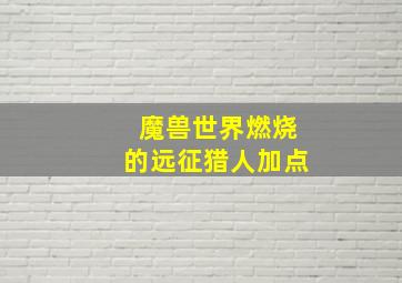 魔兽世界燃烧的远征猎人加点