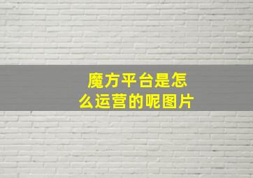 魔方平台是怎么运营的呢图片