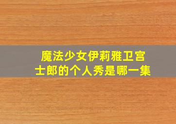 魔法少女伊莉雅卫宫士郎的个人秀是哪一集