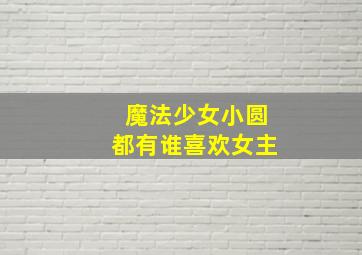 魔法少女小圆都有谁喜欢女主