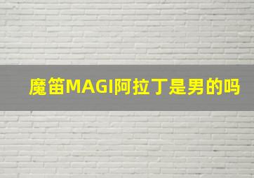 魔笛MAGI阿拉丁是男的吗