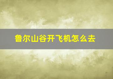 鲁尔山谷开飞机怎么去