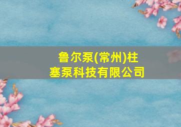 鲁尔泵(常州)柱塞泵科技有限公司